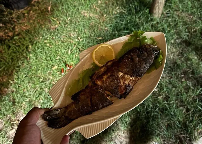 Campeggio Camping Koman *